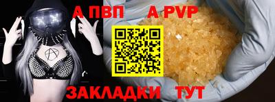 твердый Гусев