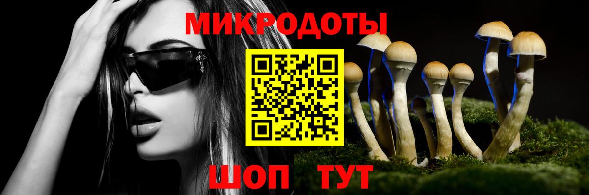 Галлюциногенные грибы GOLDEN TEACHER  Вход с VPN  Мытищи 